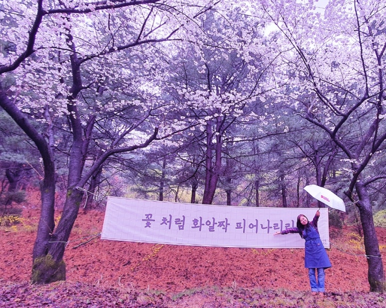수려원 이미지