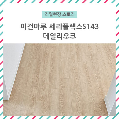 셀플렉스 이미지