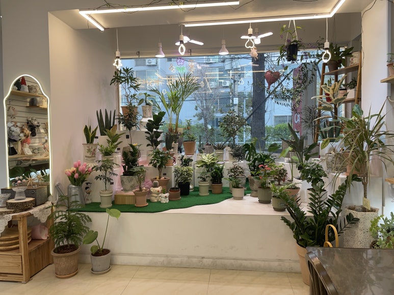식물하나담다 이미지