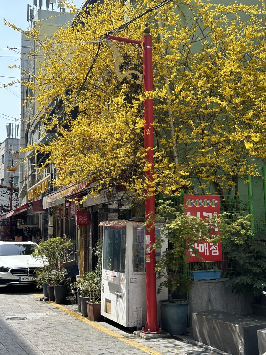 햇살복권판매점 이미지