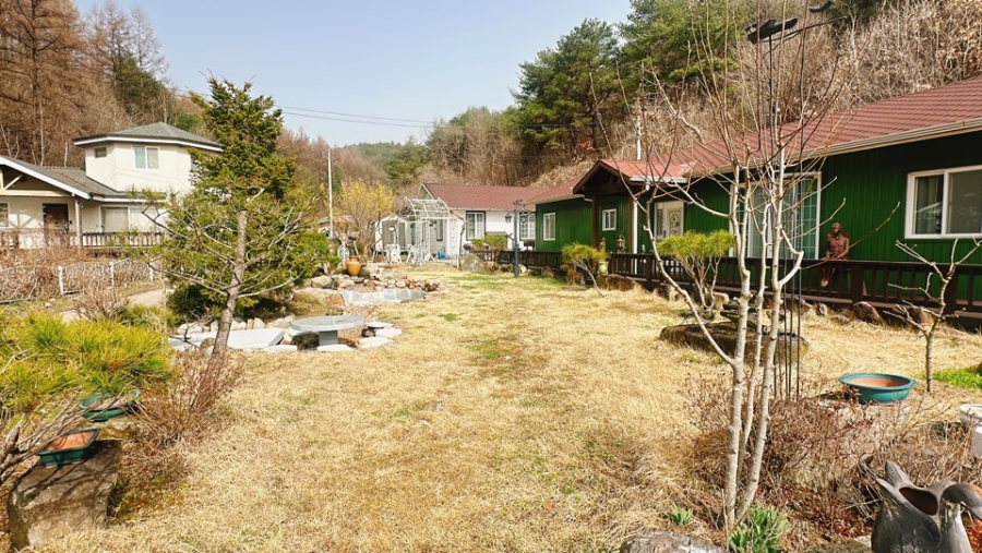 모퉁이돌아외갓집가는길 이미지