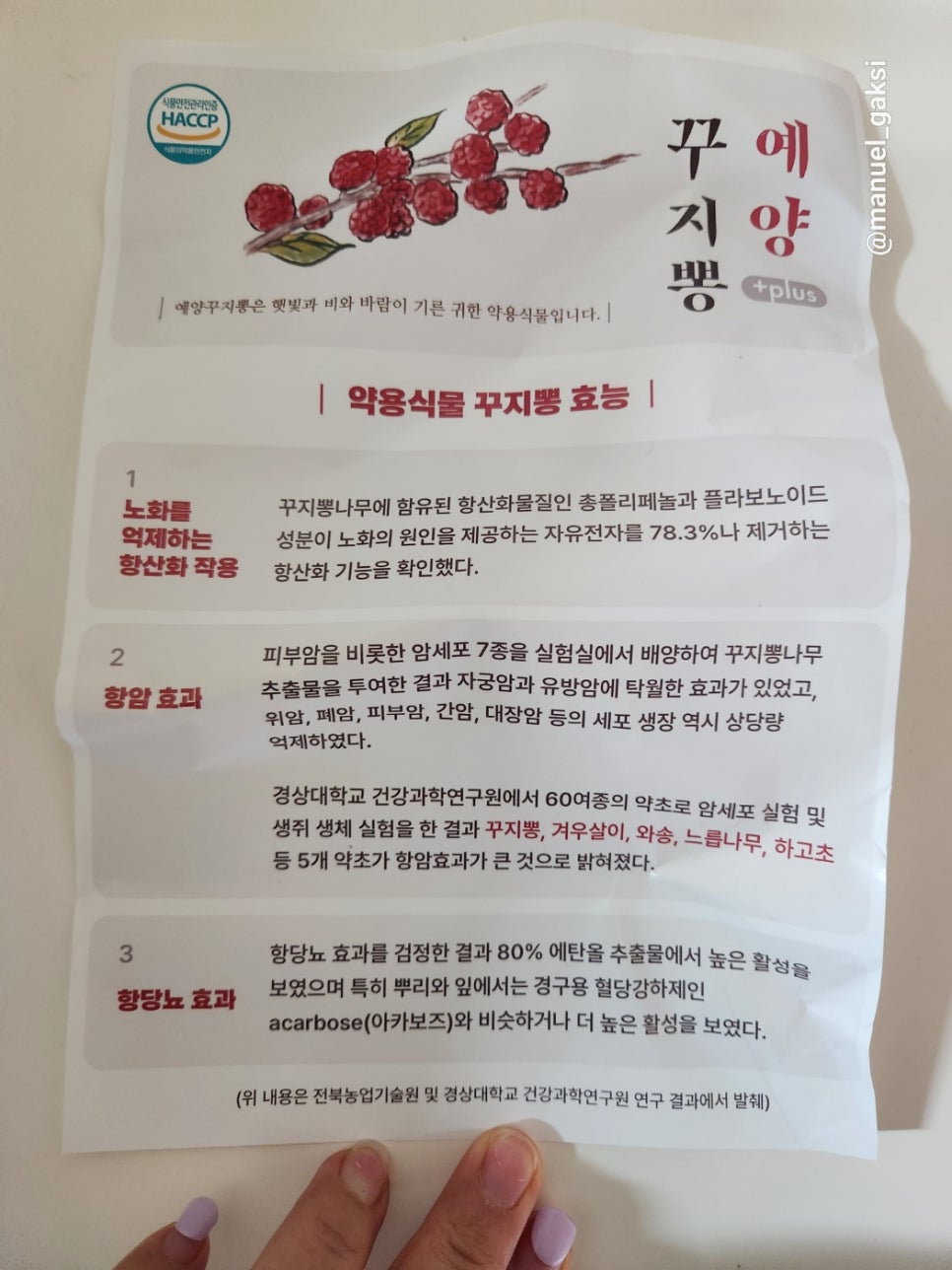 예양꾸지뽕 이미지