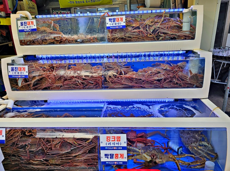 대게왕국 이미지