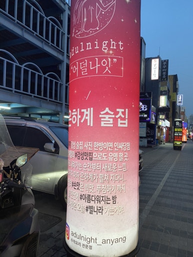 어덜나잇(Adulnight) 이미지
