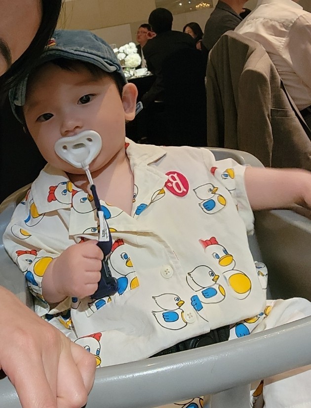 베베드피노 이미지
