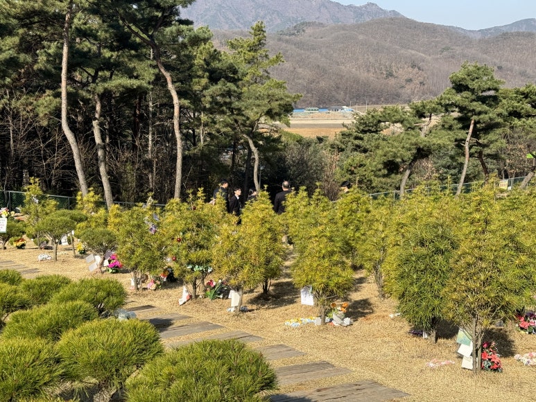 쉴낙원 서울장례식장 이미지