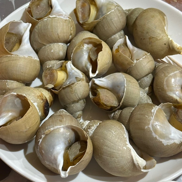 신라포차 이미지