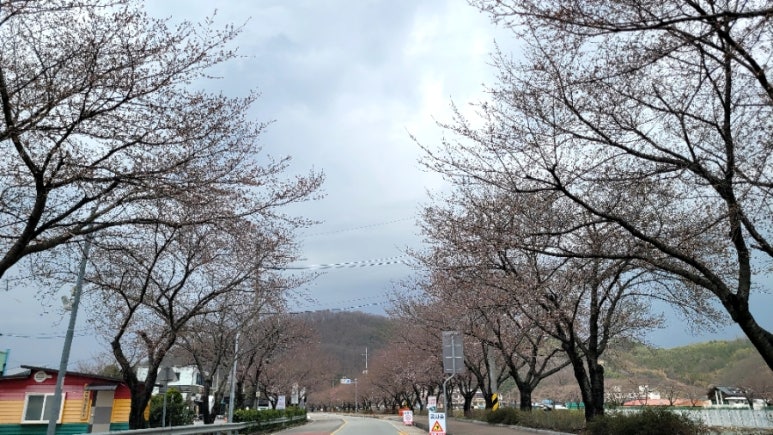 황매산철쭉영농조합 이미지