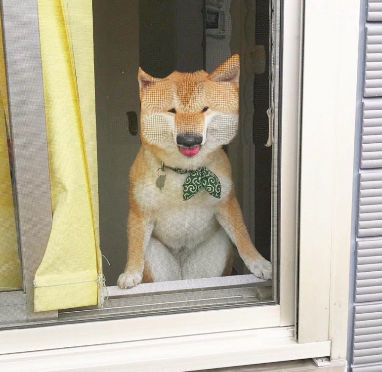 한바탕 이미지