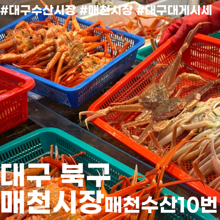 매천회센터 이미지