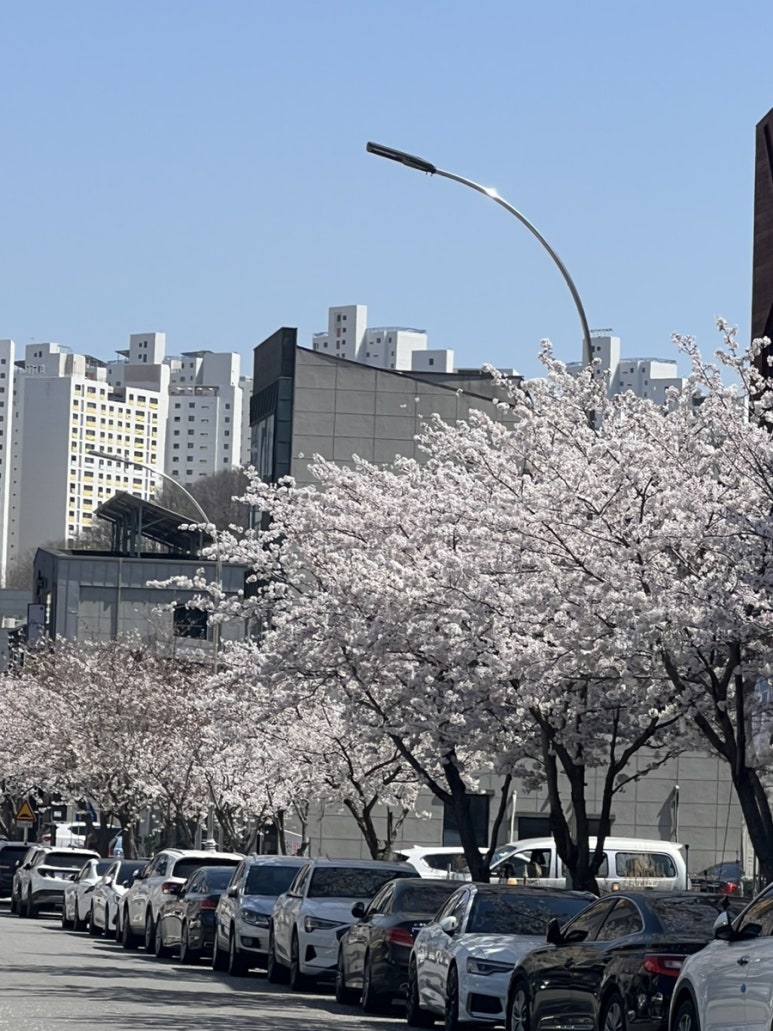 꿈꾸는니들공방 이미지