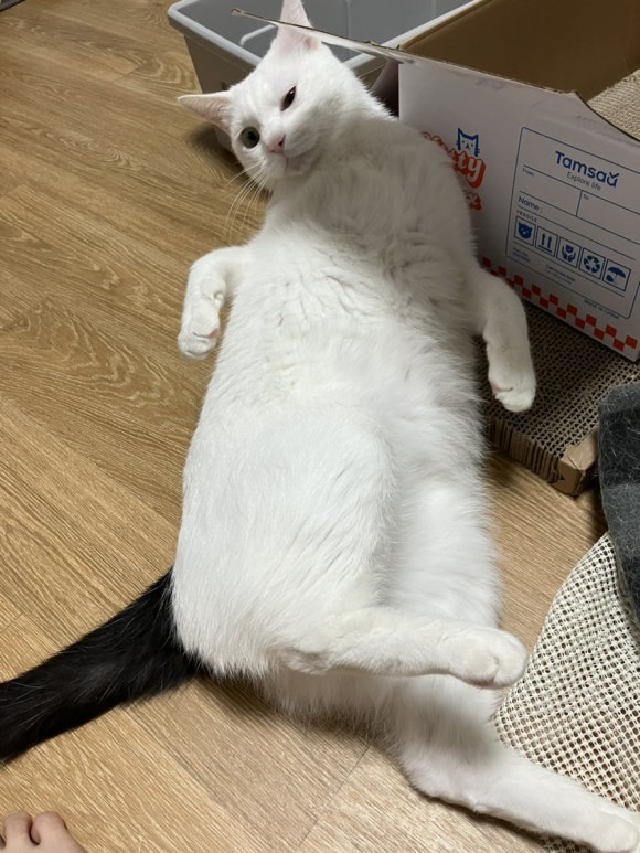 조마루감자탕율량점 이미지