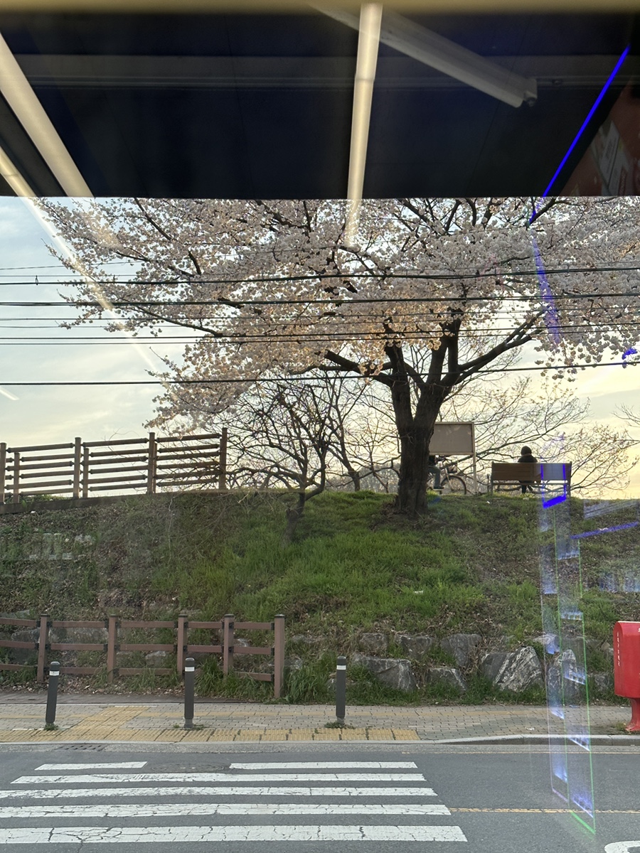 씨유 대구강변동서점 이미지