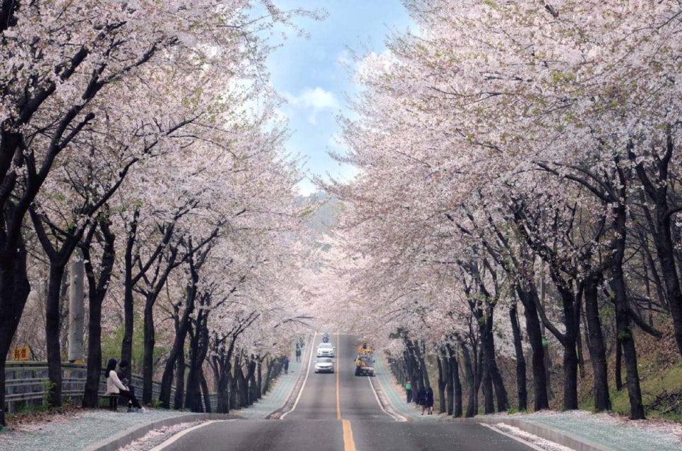 ２１세기텔레콤 이미지