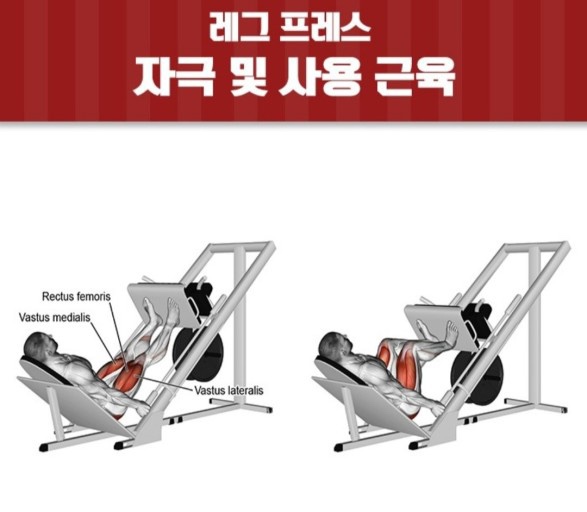 클럽훈짐 이미지
