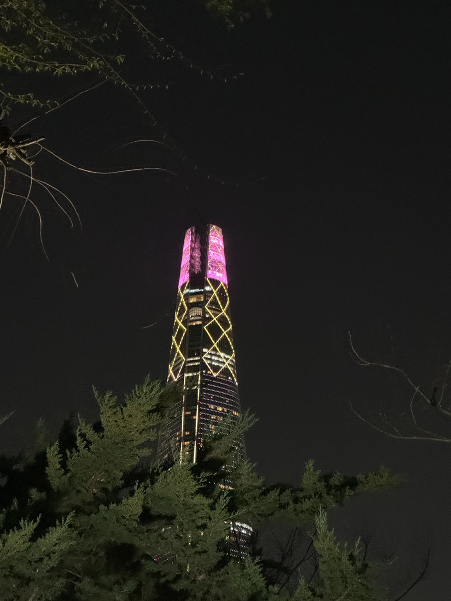 카프스시 이미지