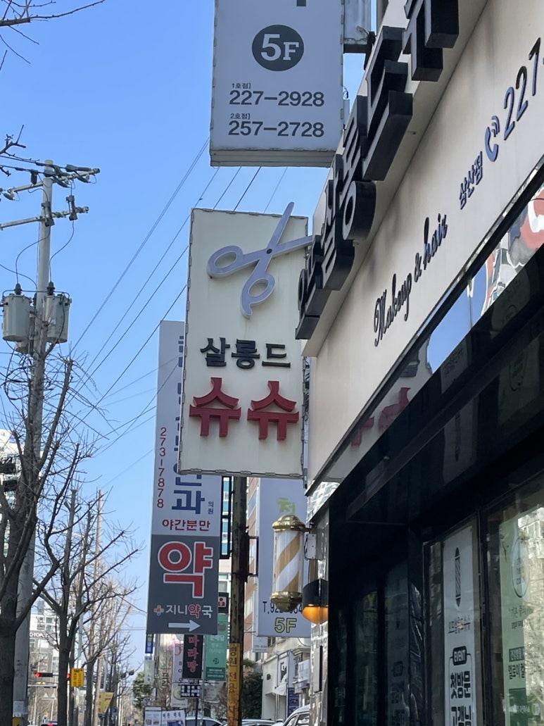 살롱드슈슈 이미지