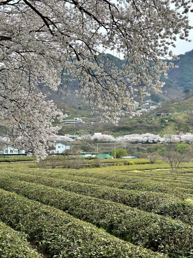 길벗민박 이미지