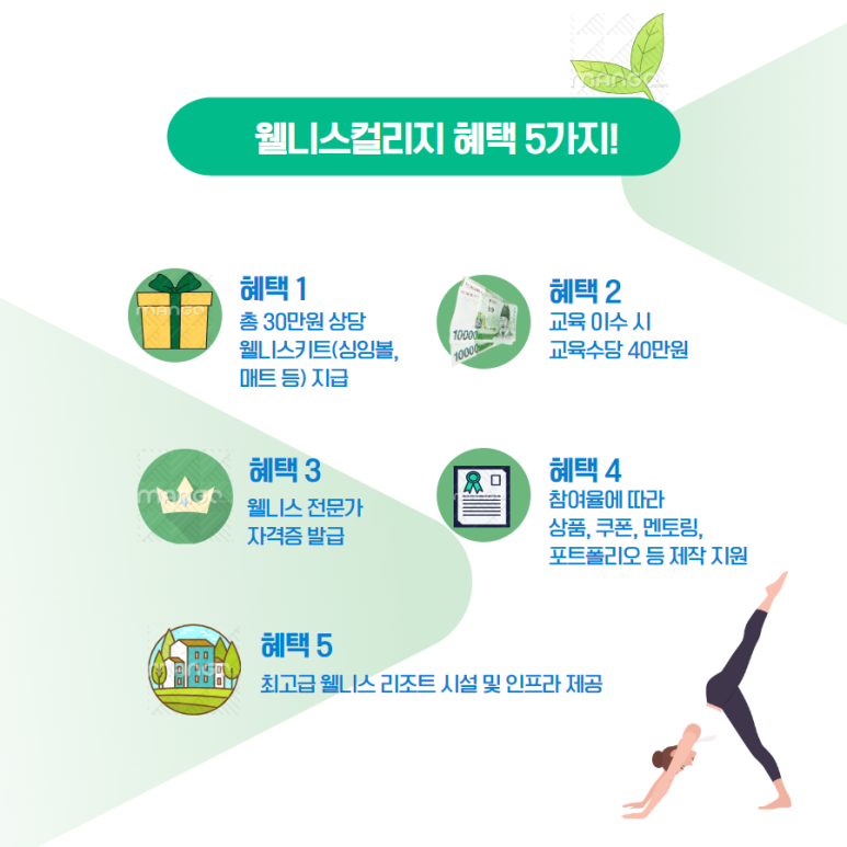 팀웰니스 이미지