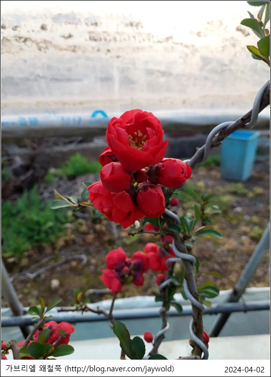 장수관 이미지