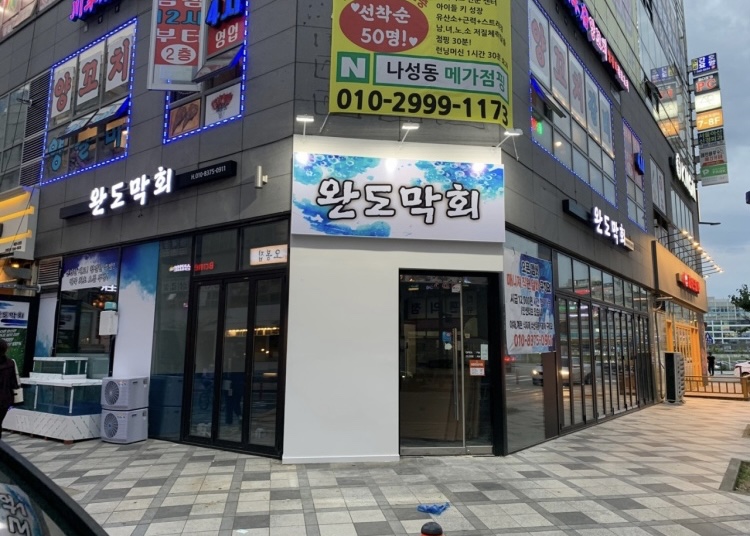 완도막회집 이미지