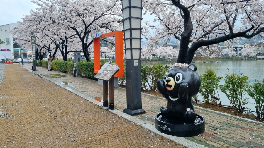 03오삼 이미지