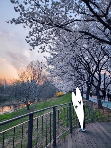 연세보스톤치과의원 이미지