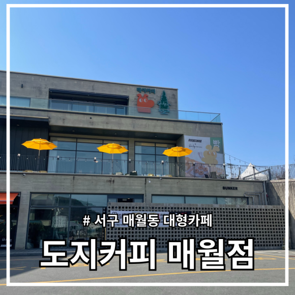 도지커피 이미지