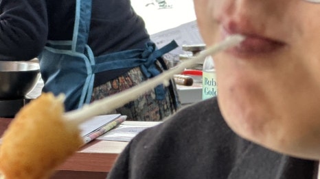 열꼬지 이미지