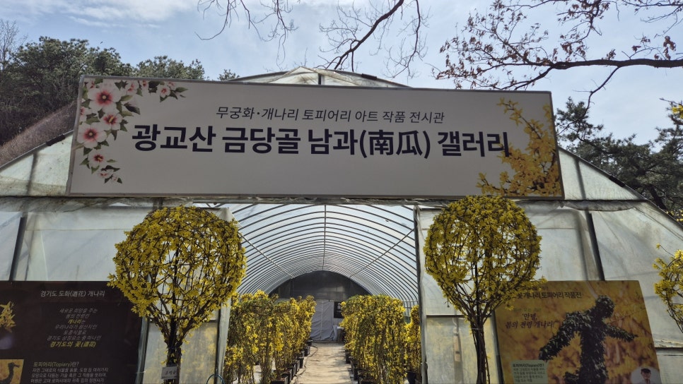 금당갤러리 이미지