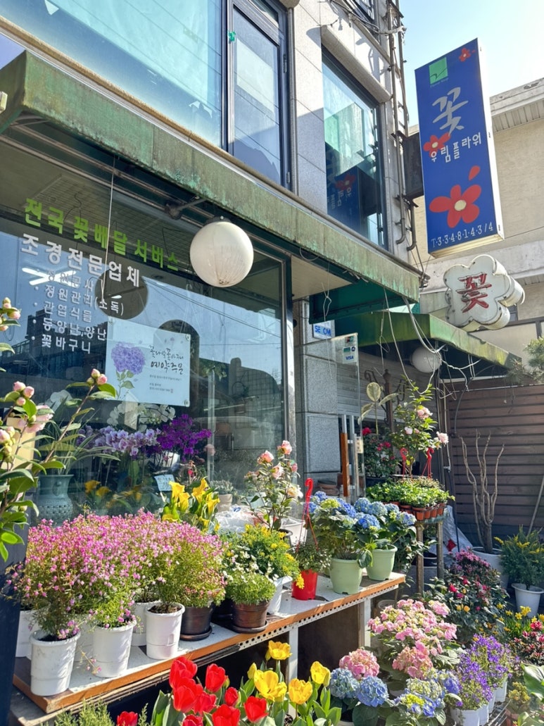 우림조경건설 이미지