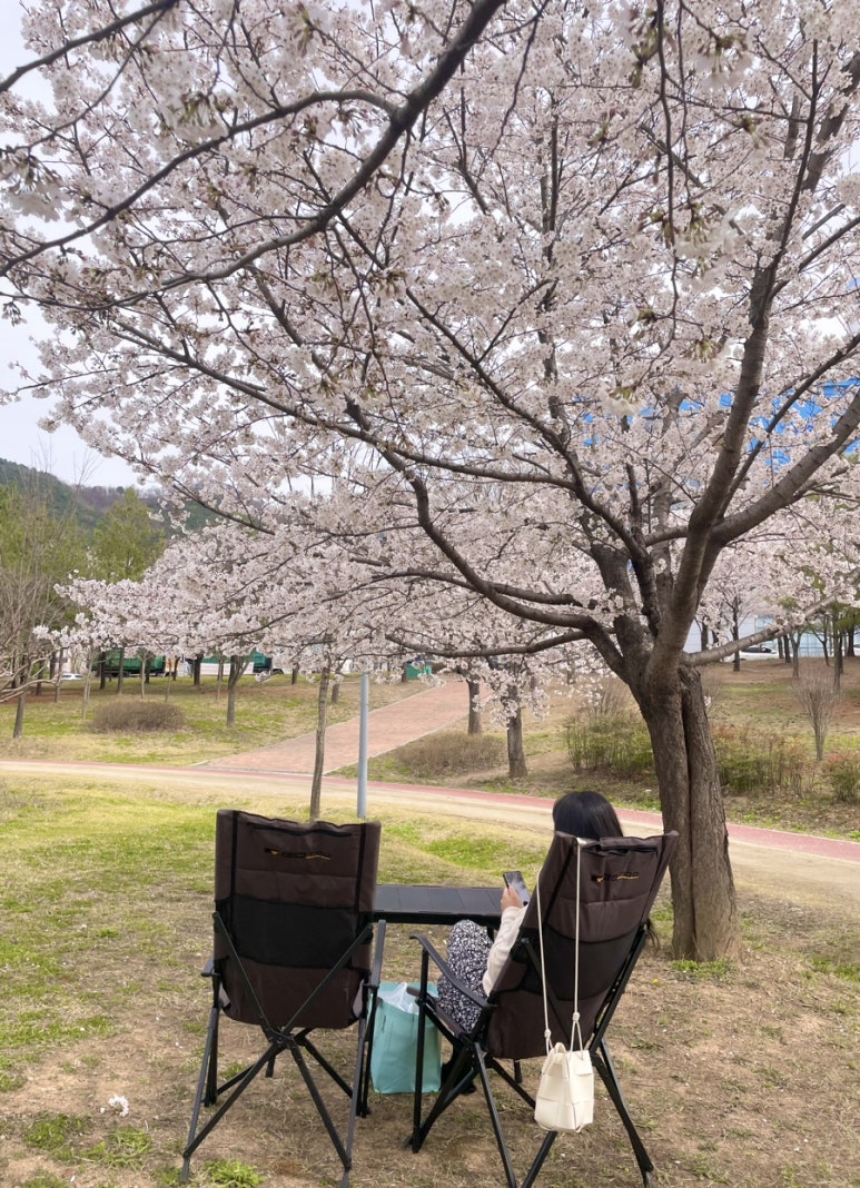 서재체육공원 이미지