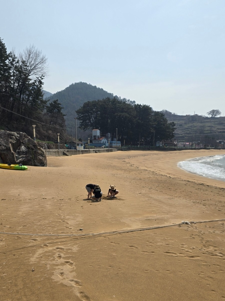 사촌해수욕장야영장 이미지