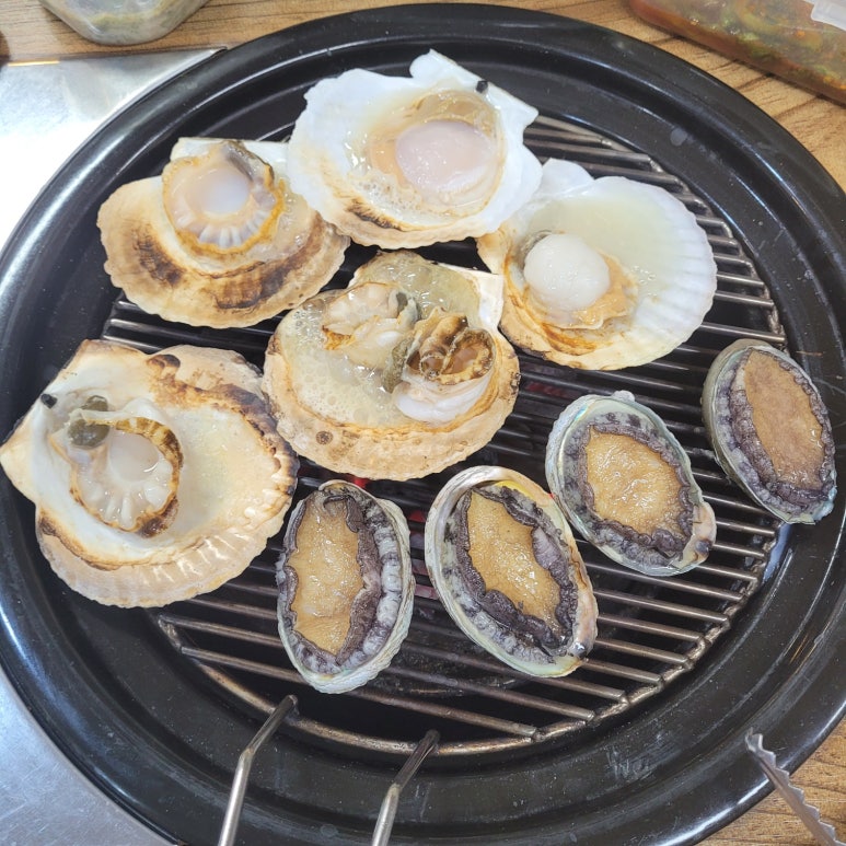 힘센민물장어 이미지