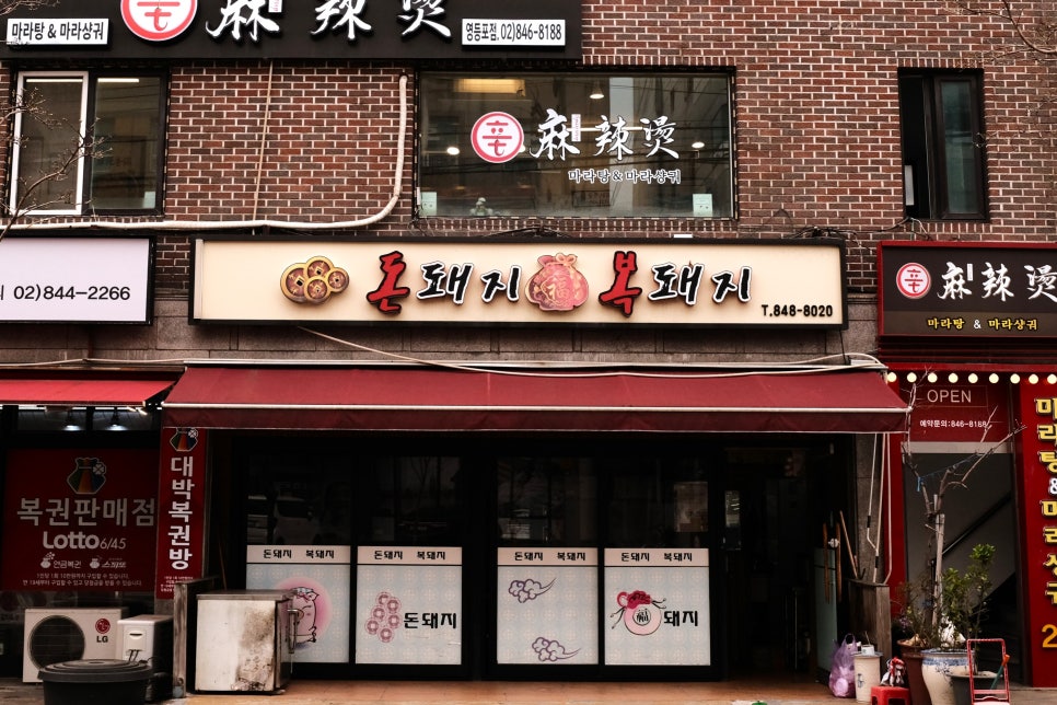 돈돼지복돼지 이미지