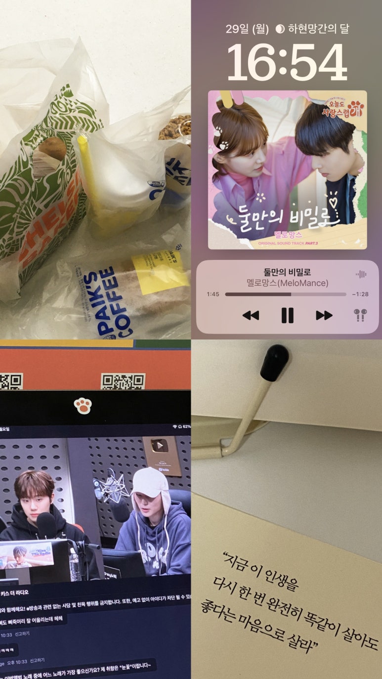 첼시노래빵 이미지