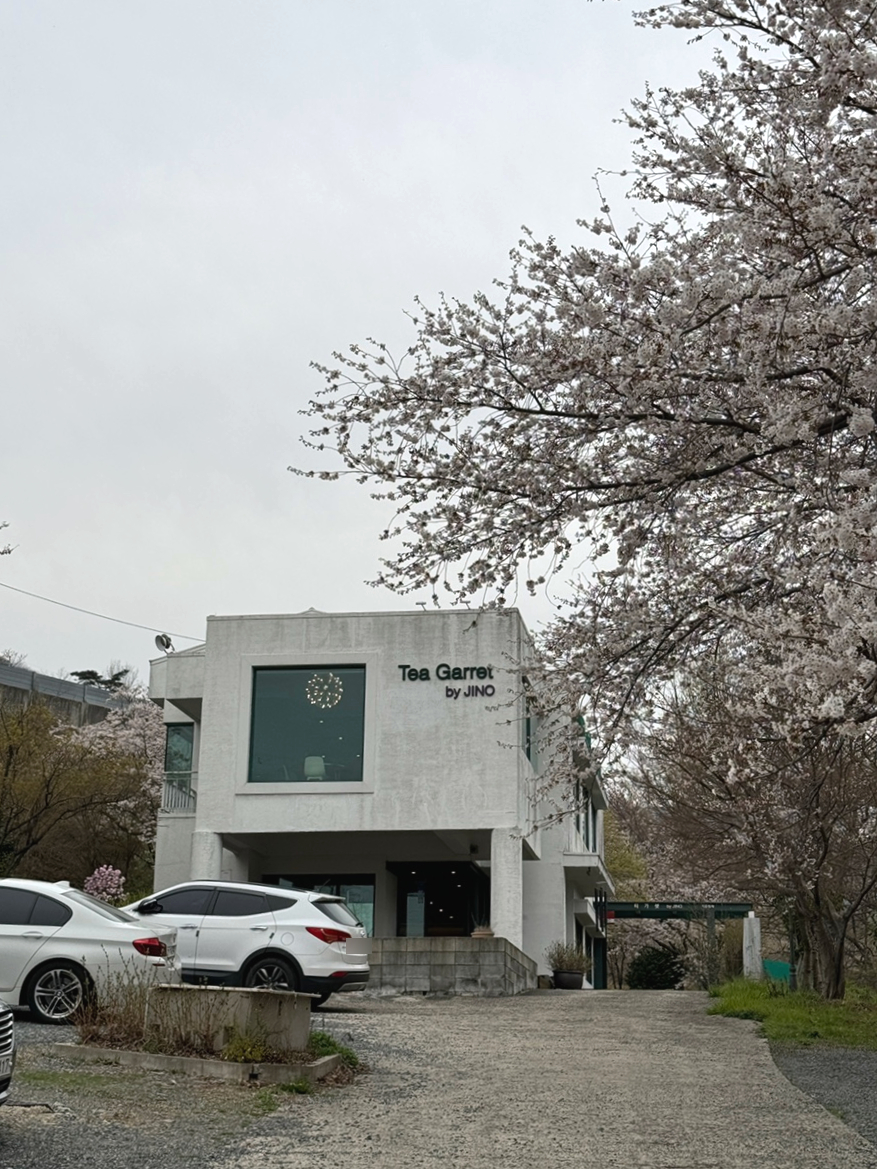 티가렛바이지노 이미지
