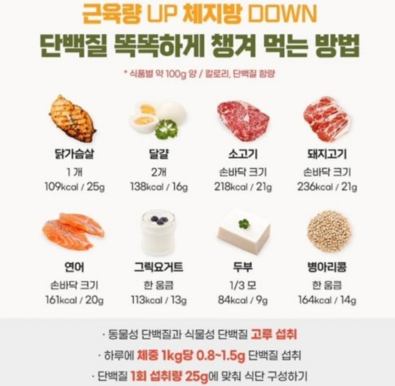 뉴패밀리 이미지