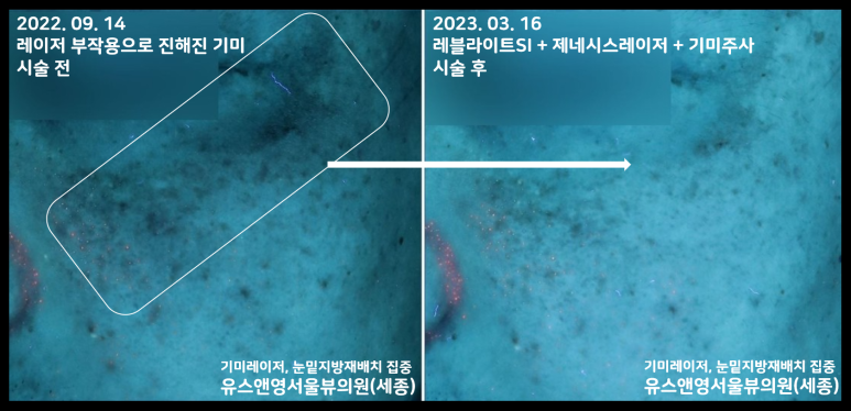 서울뷰의원 이미지