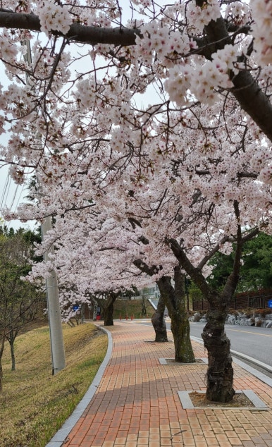투썸플레이스울산정자점 이미지