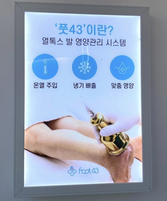 사하풋 이미지