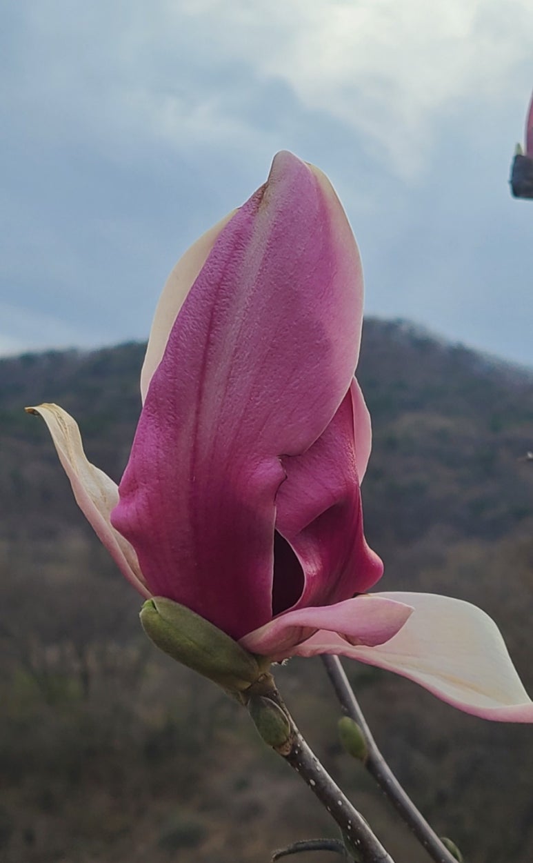 계룡산도예촌갤러리상신 이미지