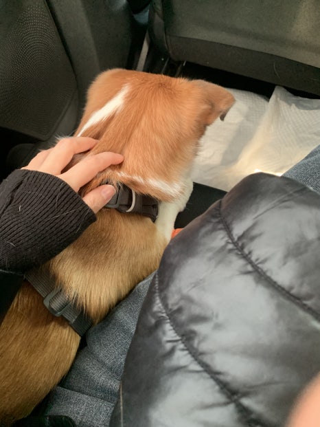 미음엔터테인먼트 이미지