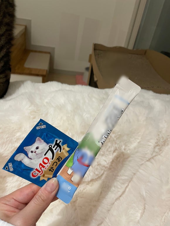 더드림컴퍼니 이미지