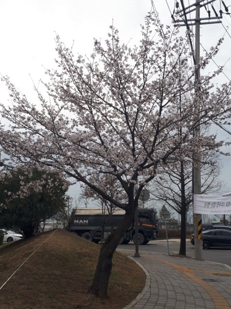 삼거리석유 이미지