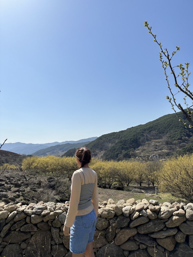 카페하동꽃길 이미지
