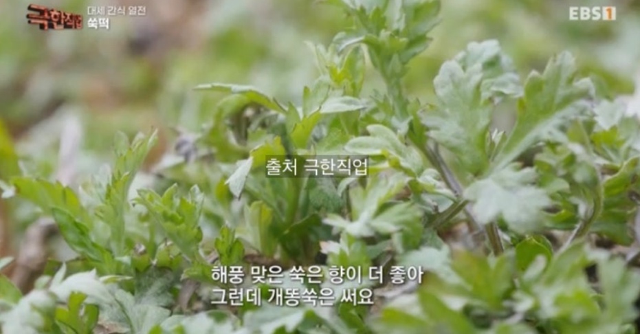 신기떡방앗간 이미지