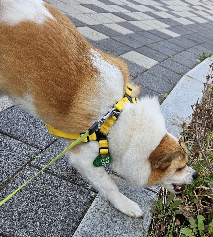 놀러와발관리 이미지