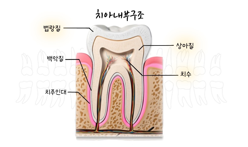 김태영치과의원 이미지
