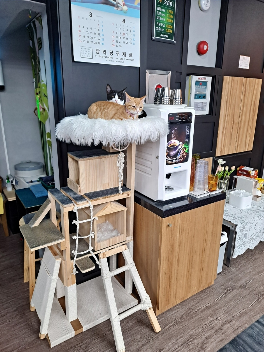 코코당구장 이미지